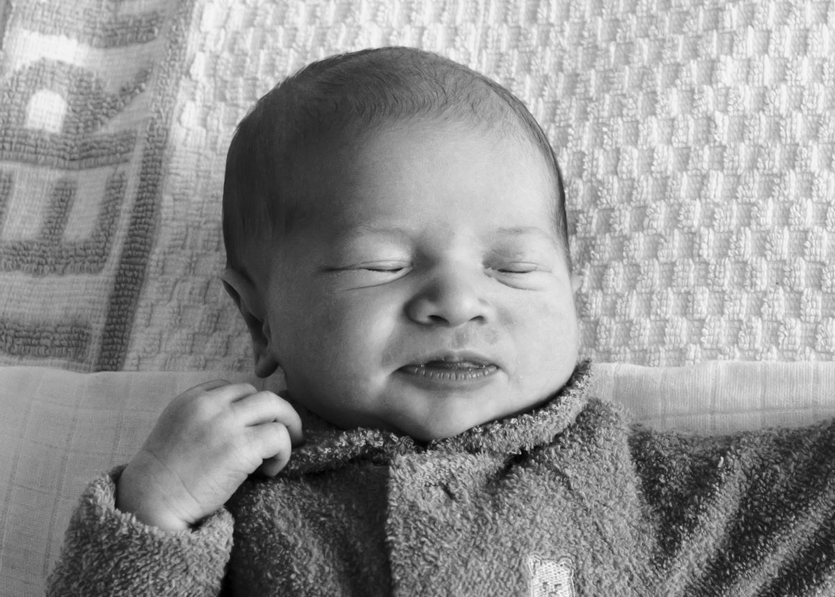 newborn hospital photos adelaide
